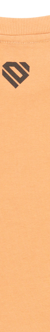 Camel Cotton Top Crop T-Shirt