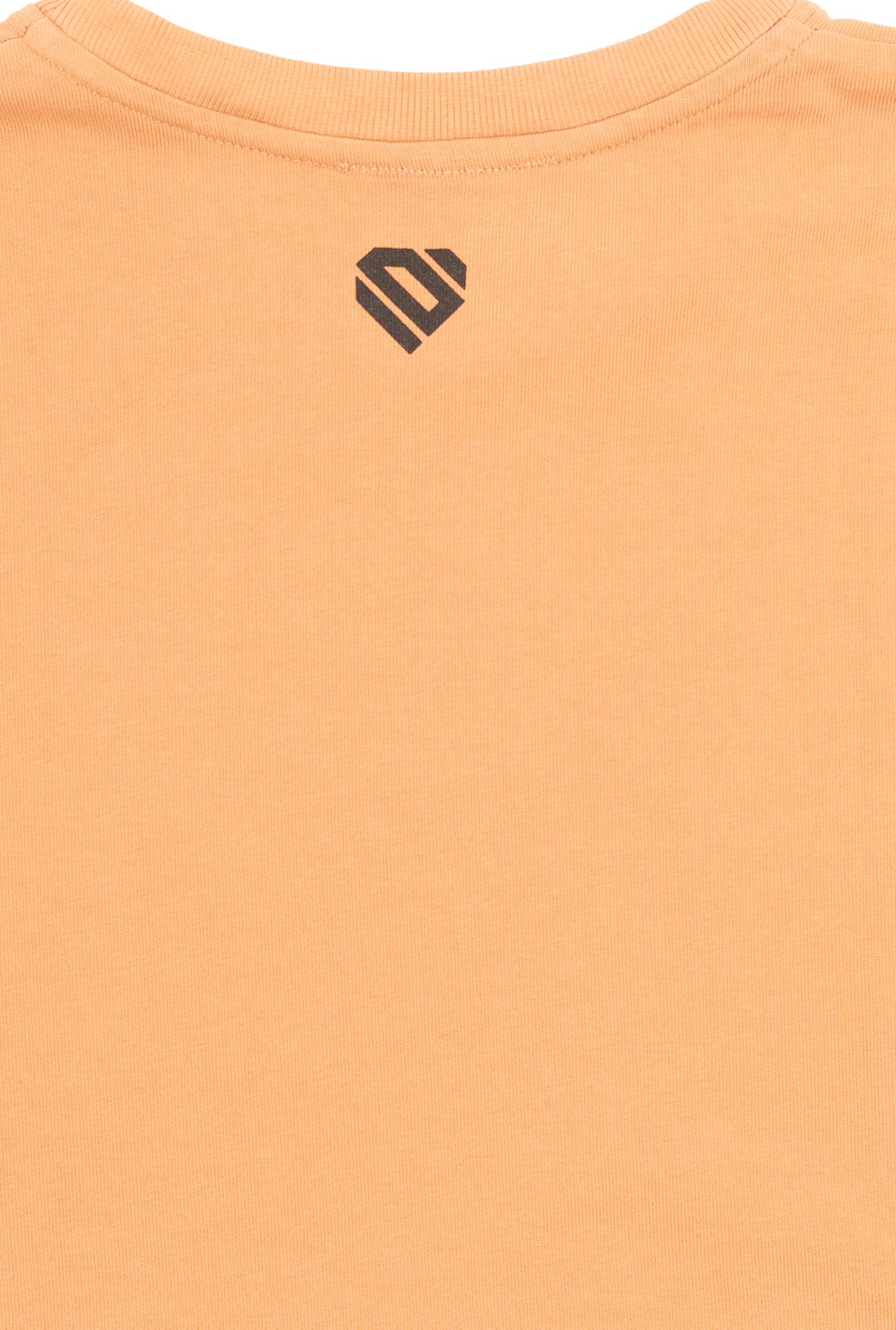 Camel Cotton Top Crop T-Shirt